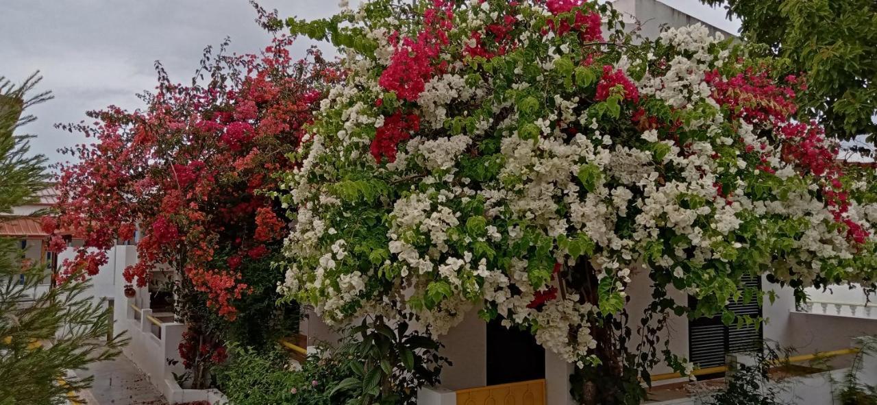 Le Boucanier تافيرا المظهر الخارجي الصورة