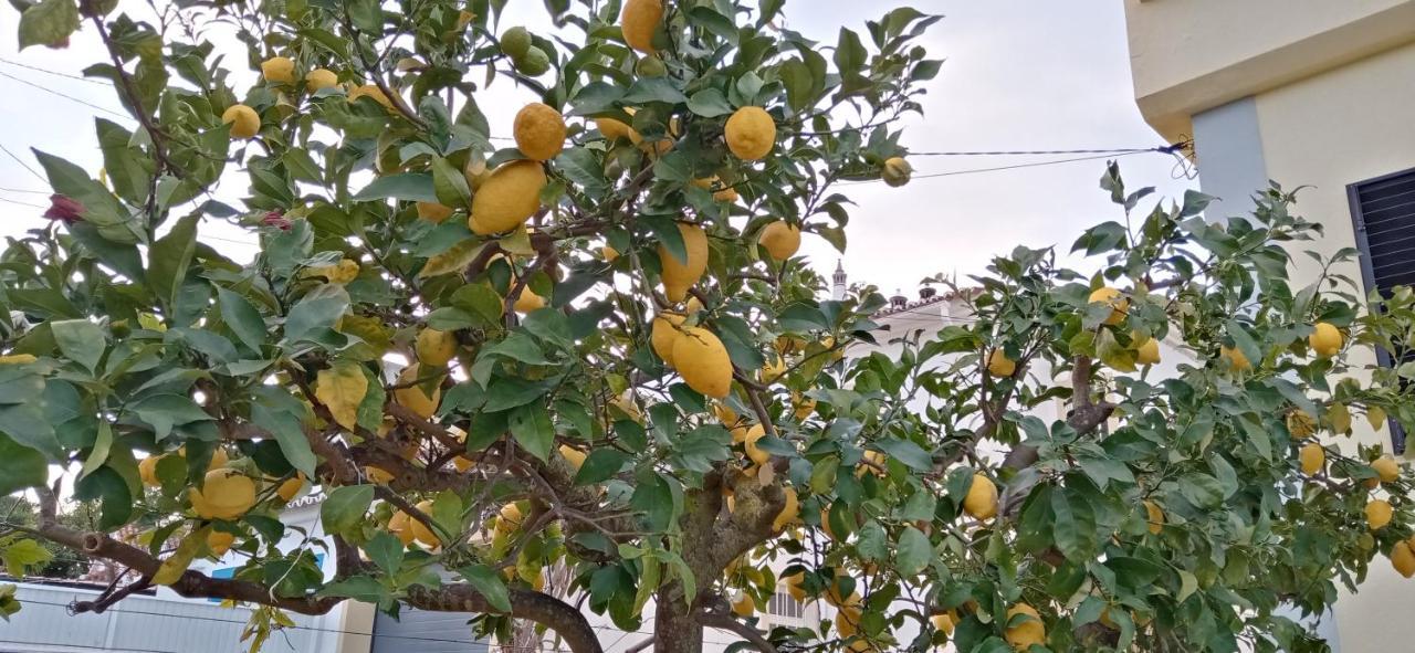 Le Boucanier تافيرا المظهر الخارجي الصورة